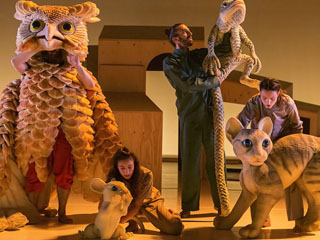 Imatge de fons
           difuminada