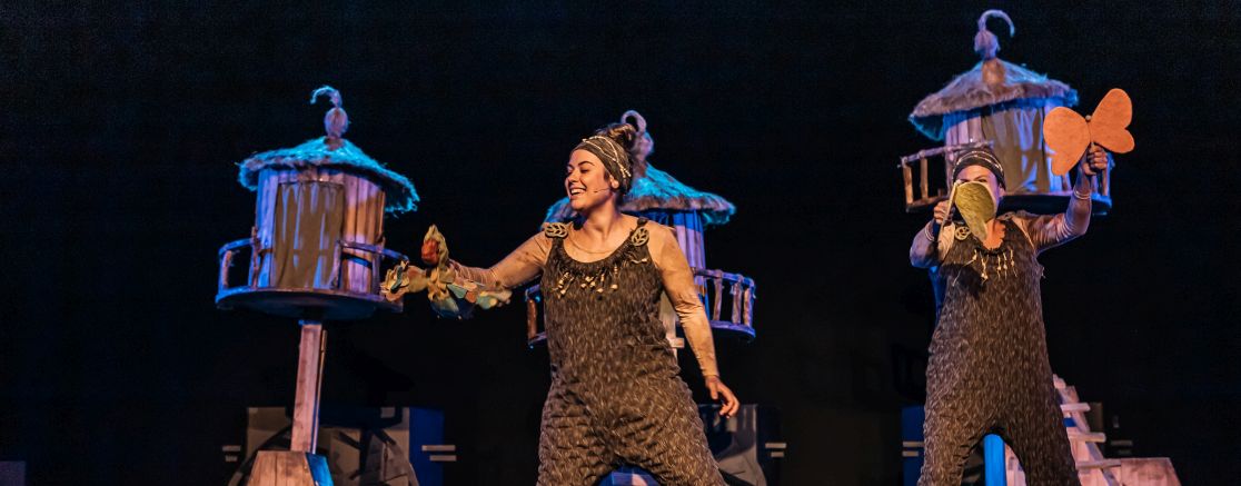 Imatge de l'espectacle