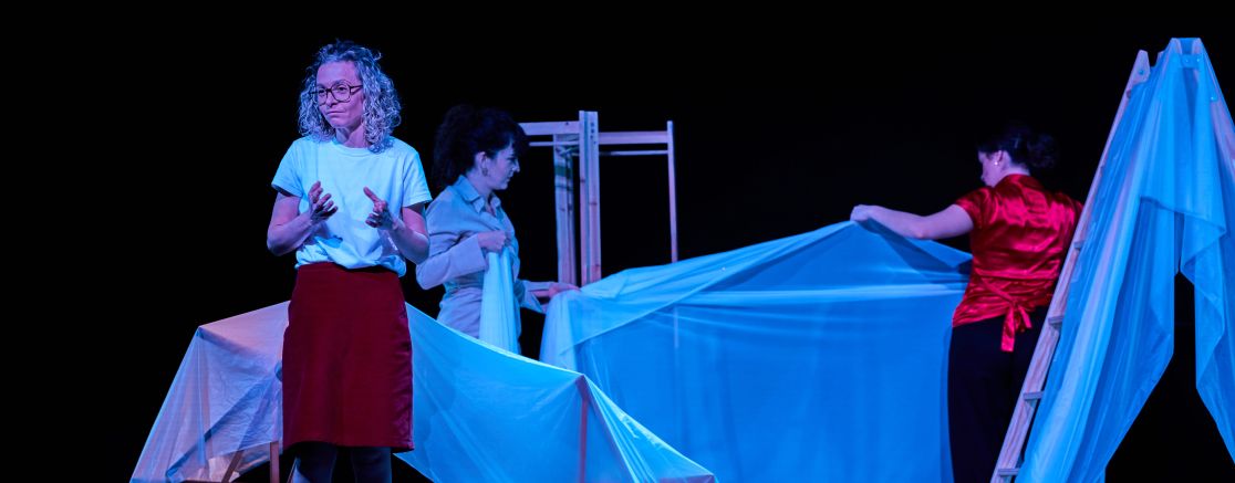 Imatge de l'espectacle