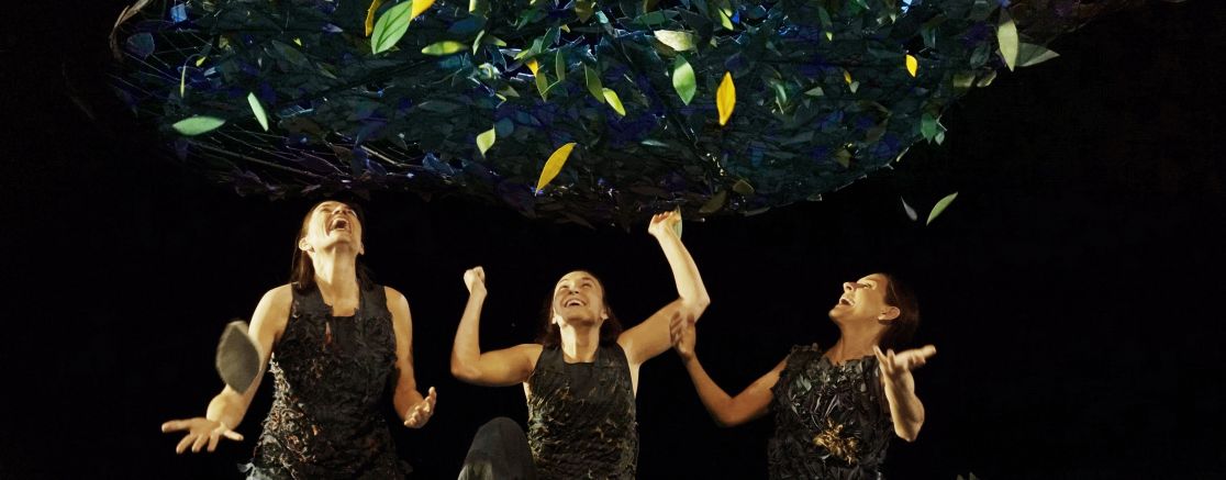 Imatge de l'espectacle