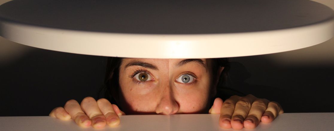 Imatge de l'espectacle