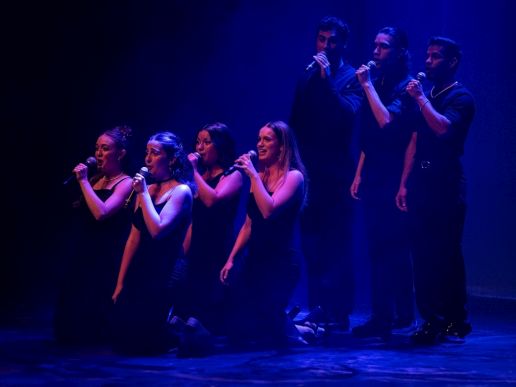 Imatge de l'espectacle