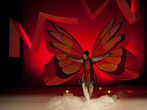 Imatge de l'espectacle