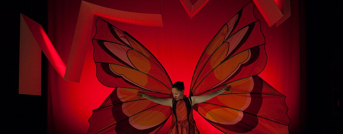 Imatge de l'espectacle