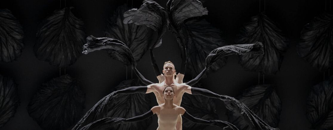 Imatge de l'espectacle