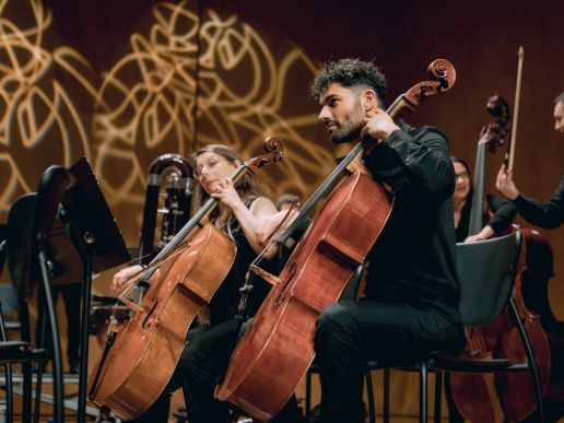 Imatge de l'espectacle