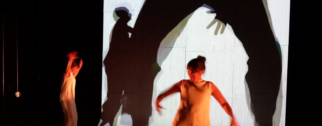 Imatge de l'espectacle