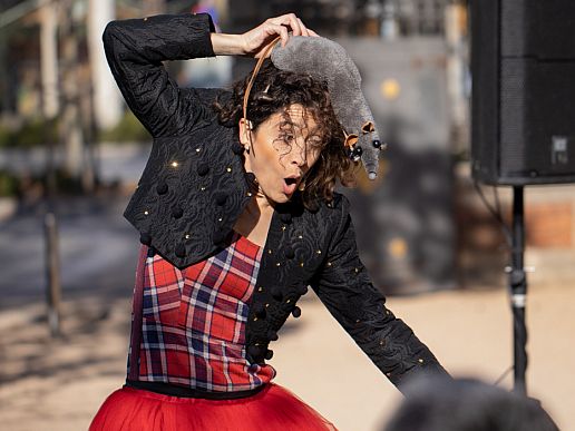 Imatge de l'espectacle