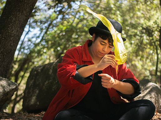 Imatge de l'espectacle