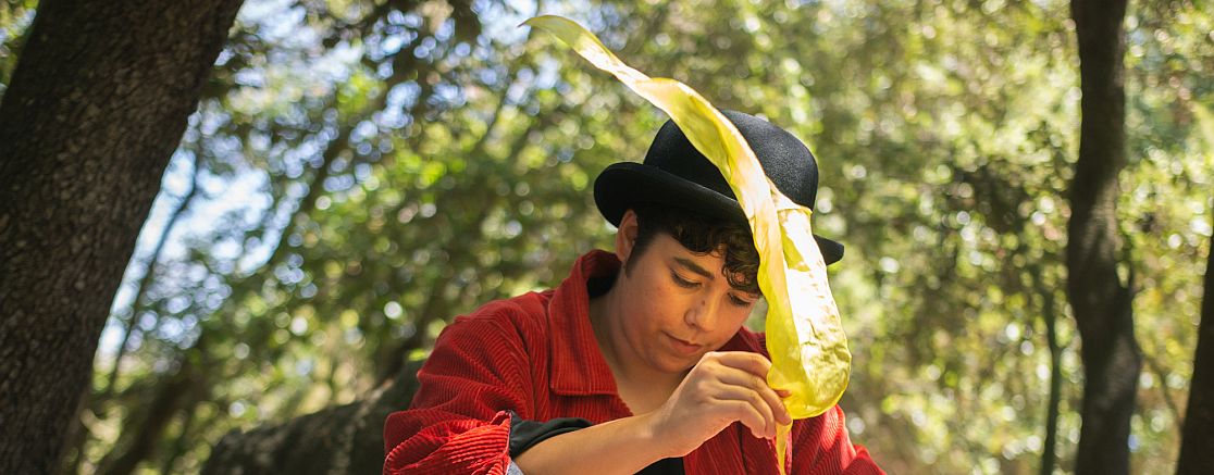 Imatge de l'espectacle