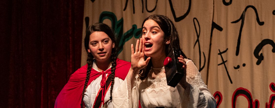 Imatge de l'espectacle