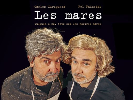 Imatge de l'espectacle