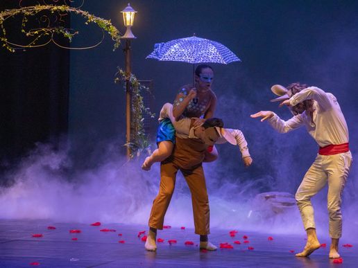 Imatge de l'espectacle