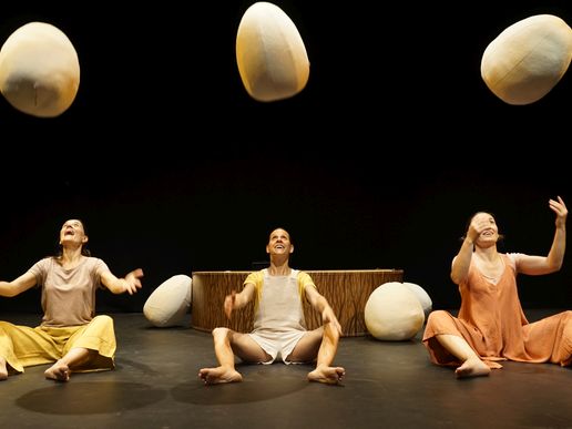 Imatge de l'espectacle