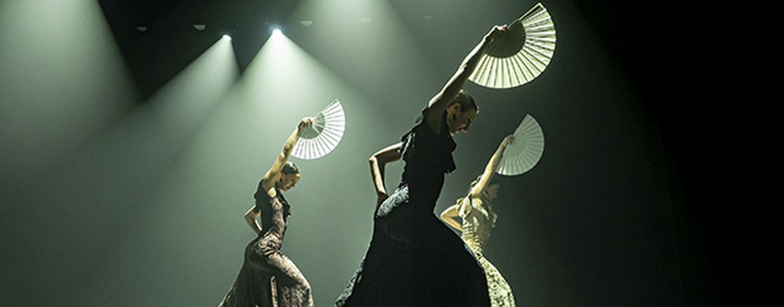 Imatge de l'espectacle