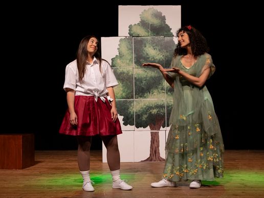 Imatge de l'espectacle