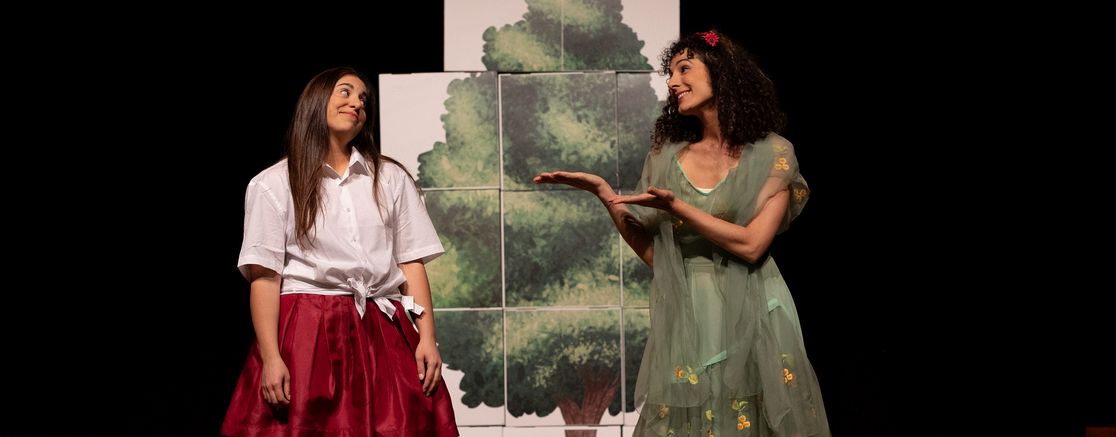 Imatge de l'espectacle