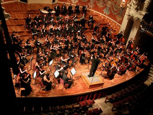 Imatge de fons
           difuminada