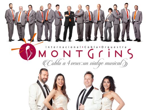 Imatge de l'espectacle