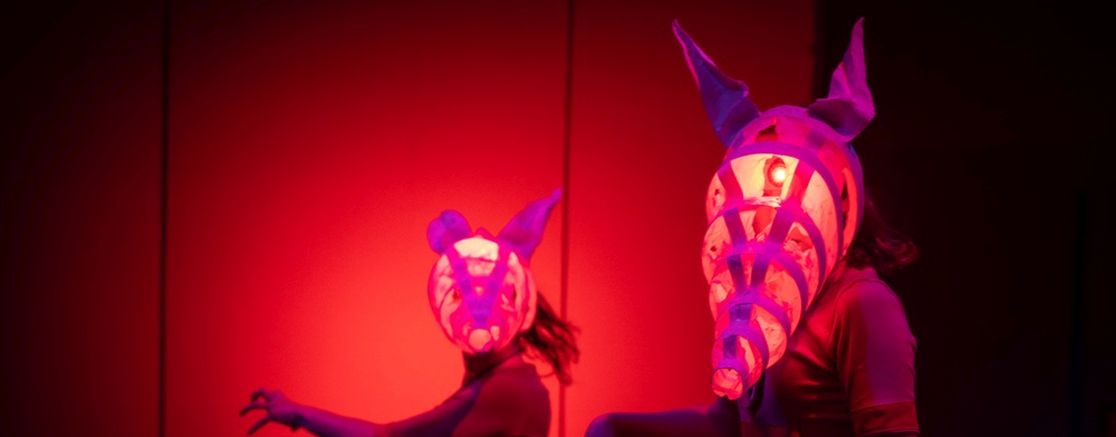 Imatge de l'espectacle