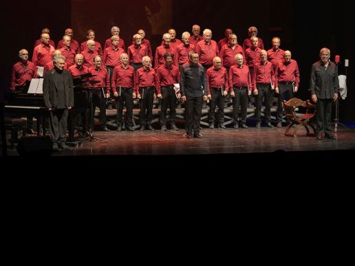 Imatge de fons
           difuminada