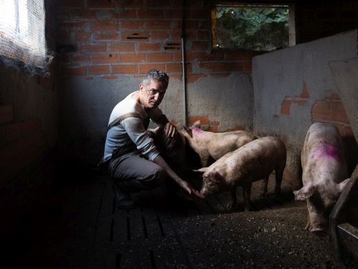 Imatge de l'espectacle