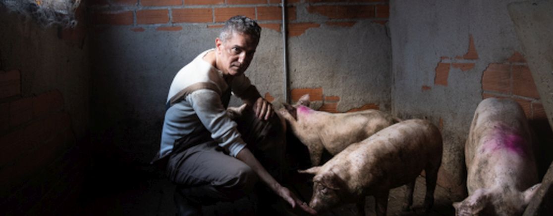 Imatge de l'espectacle