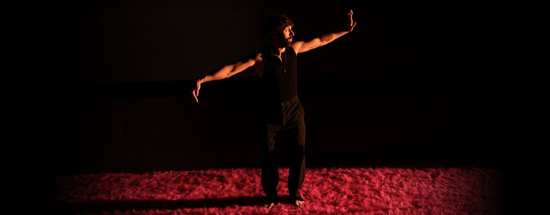 Imatge de l'espectacle