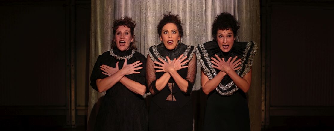 Imatge de l'espectacle