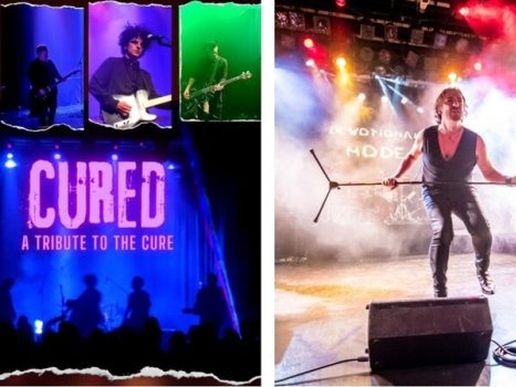 Imatge de fons
           difuminada