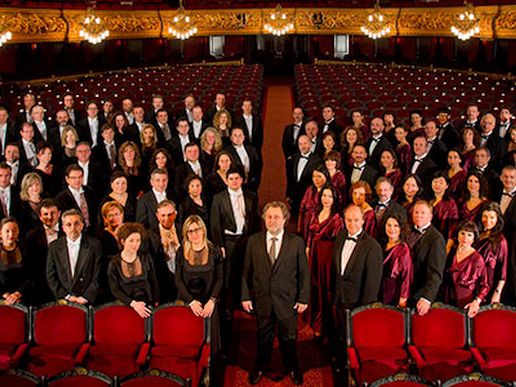 Imatge de fons
           difuminada