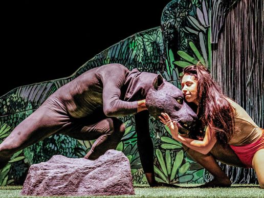 Imatge de fons
           difuminada