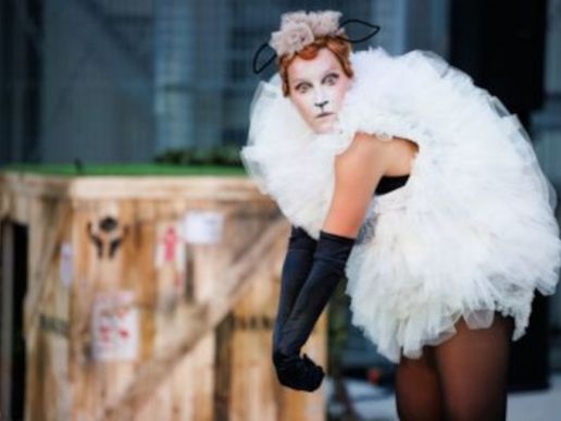 Imatge de fons
           difuminada