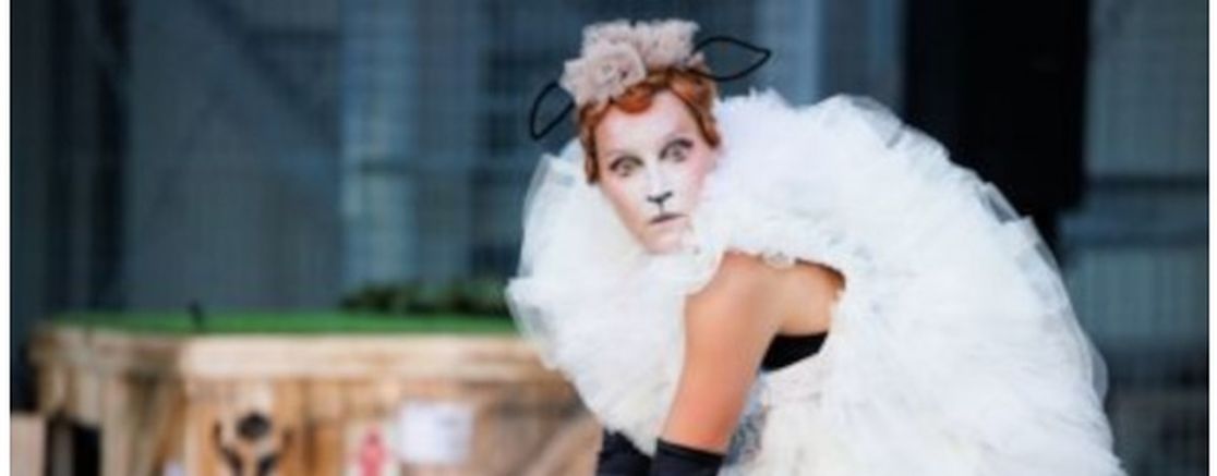 Imatge de l'espectacle