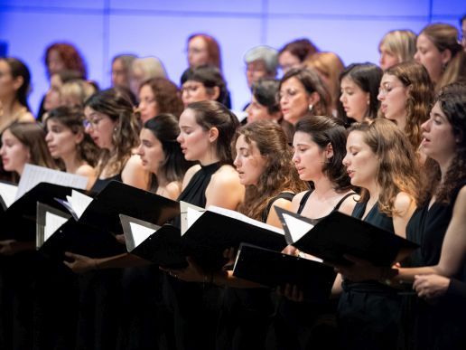 Imatge de fons
           difuminada