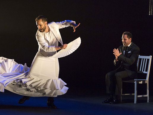 Imatge de fons
           difuminada