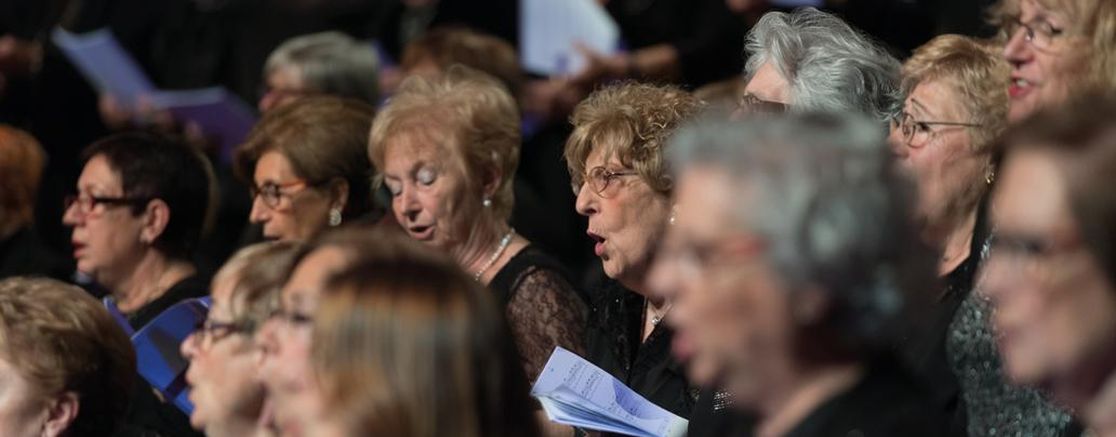 Imatge de l'espectacle