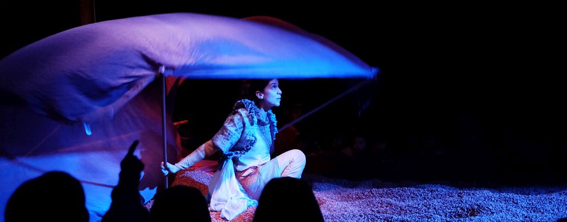 Imatge de l'espectacle