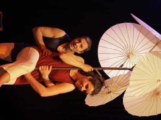 Imatge de l'espectacle
