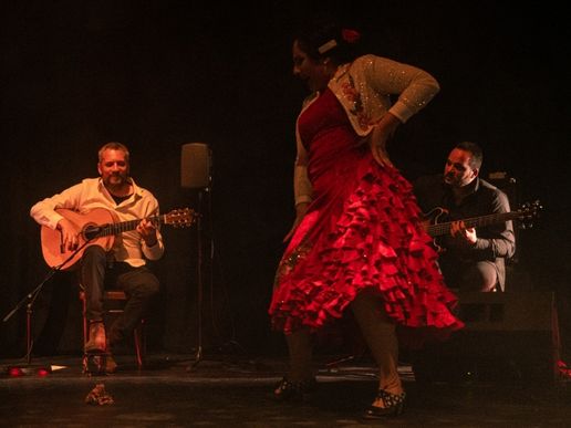 Imatge de l'espectacle