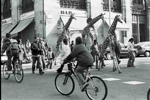 Imatge de l'espectacle