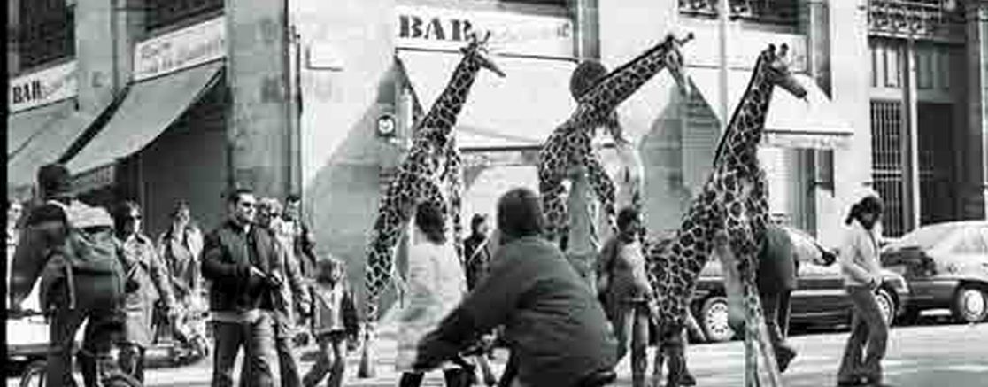 Imatge de l'espectacle