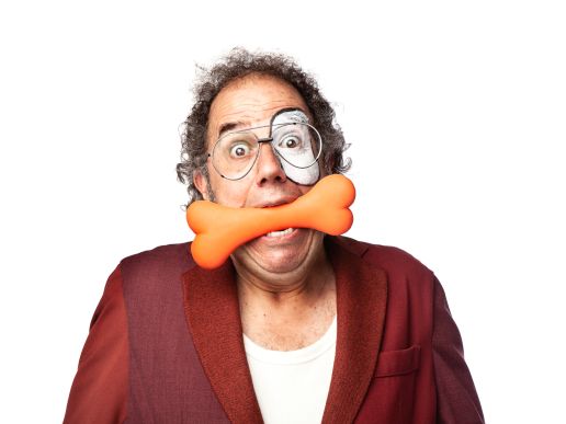 Imatge de l'espectacle