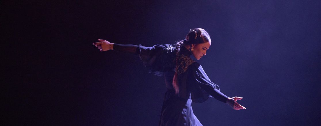 Imatge de l'espectacle