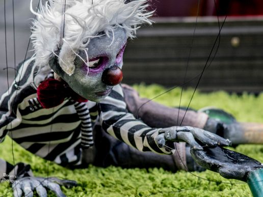 Imatge de fons
           difuminada