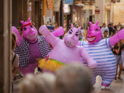 Imatge de l'espectacle