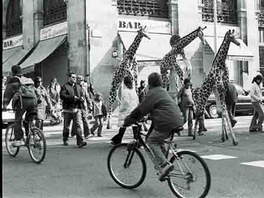 Imatge de l'espectacle