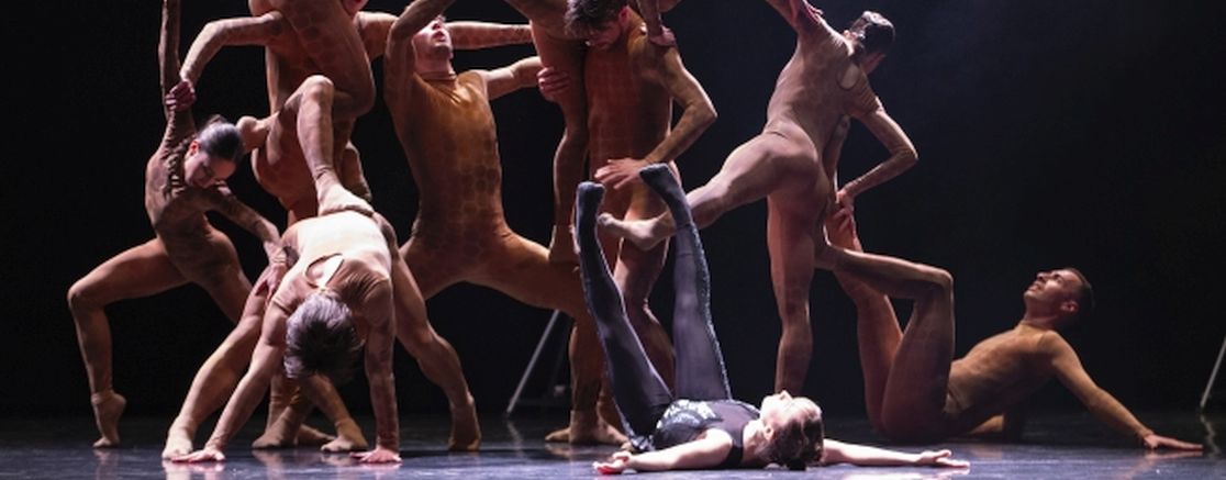 Imatge de l'espectacle