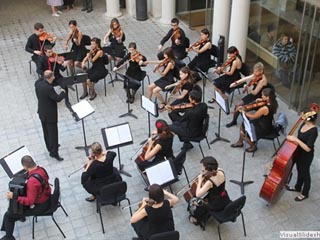 Imatge de fons
           difuminada